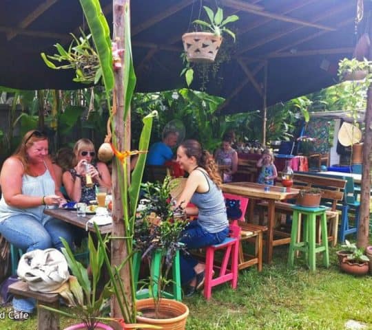 Free Bird Cafe Chiang Mai
