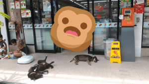 10 choses que tu ne sais (probablement) pas sur les 7 Eleven en Thaïlande en 2023