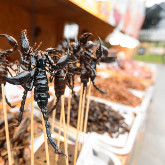 Scorpion frit (Maeng Pawng) - insectes comestibles en thaïlande