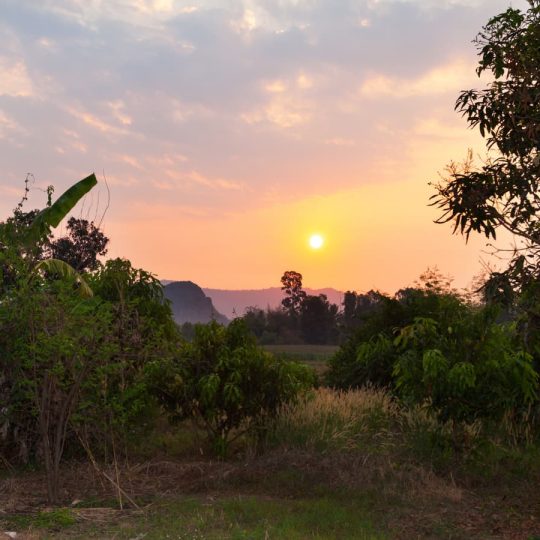 Que faire à Phitsanulok en 2022