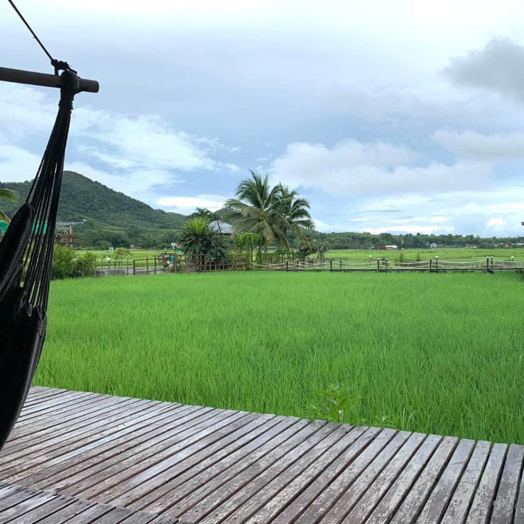 éco tour koh yao noi riziere