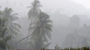 Que faire à Koh Samui quand il pleut