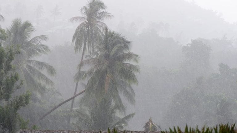 Que faire à Koh Samui quand il pleut