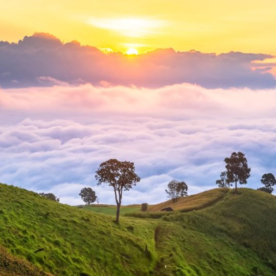 Doi Suthep - Que faire à Chiang Mai