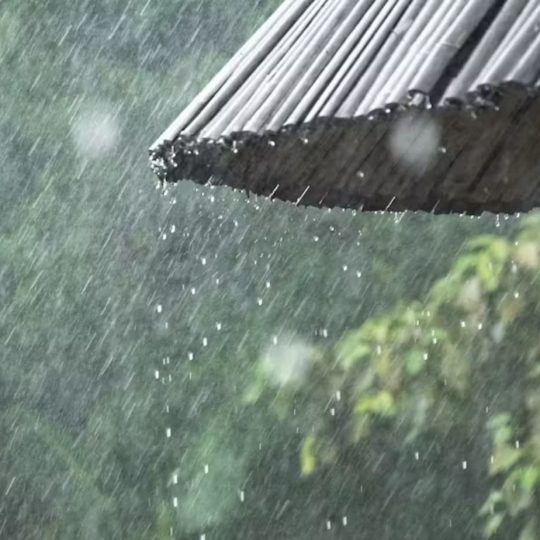 Que faire à Chiang Mai lorsqu'il pleut ? que faire en thailande