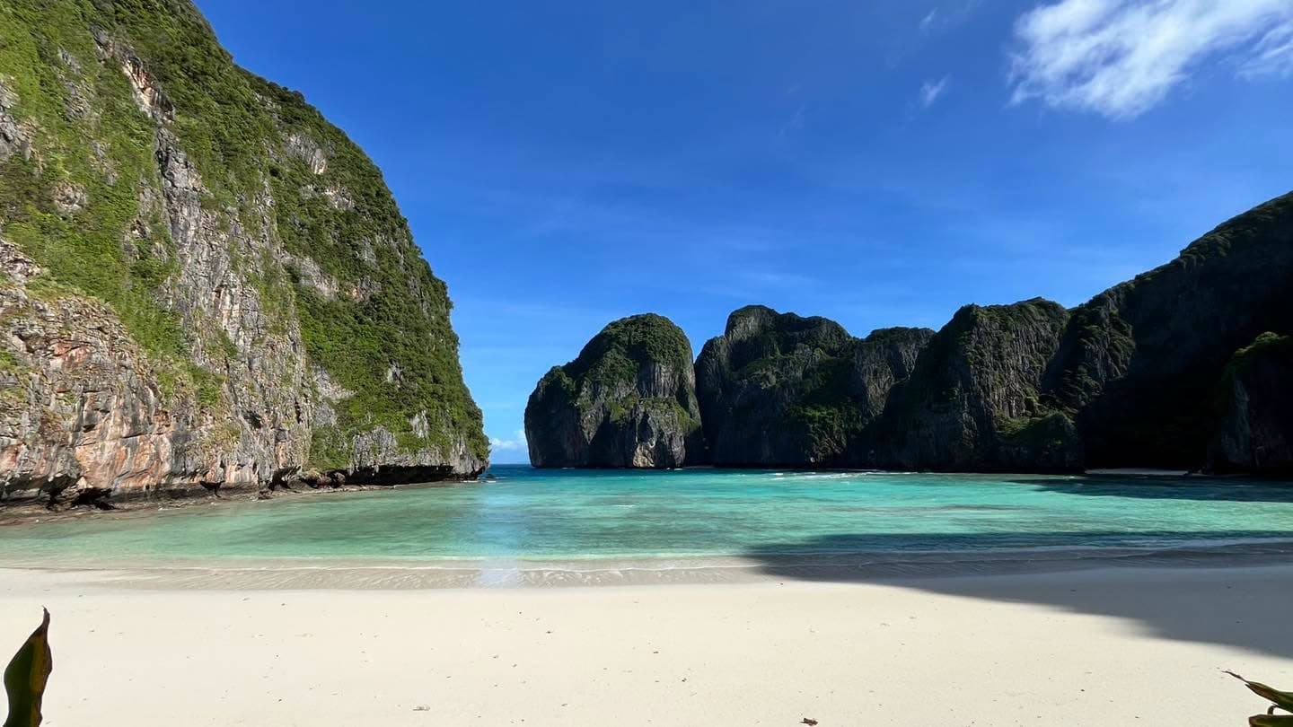 Maya Bay rouvre le 1er octobre 2026 : 278 requins comptés pendant la fermeture